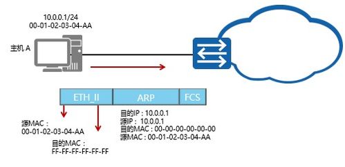 ARP协议解析与Dragon S网络信息设备技术咨询指南